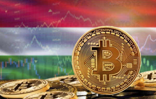Investors in cryptocurrency and Blockchain Technology in Hungary, Concept. Bitcoin with Hungary
