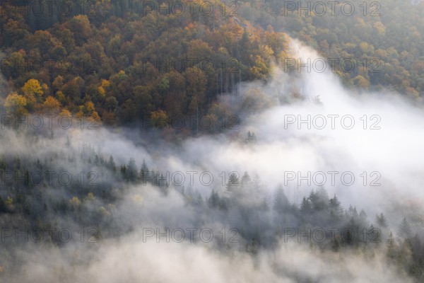 View from the Knopfmacherfelsen into the Danube valley, mixed forest, autumn colours, fog, autumn,