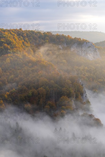 View from the Knopfmacherfels into the Danube valley, limestone rock, rock face, mixed forest,
