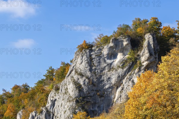 Rock face mixed forest in autumn colours, limestone rock, autumn, Gutenstein, Danube valley, Upper
