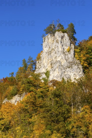 Rock face in mixed forest in autumn colours, limestone rock, autumn, Danube valley, Upper Danube