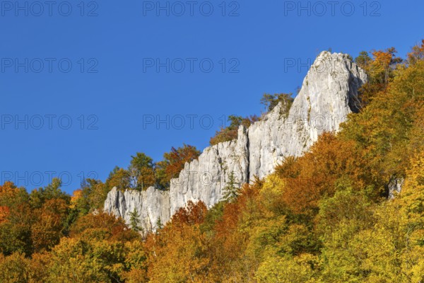 Rock face in mixed forest in autumn colours, limestone rock, autumn, Danube valley, Upper Danube