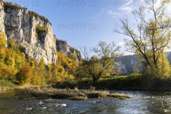 Rock face with mixed forest in autumn colours, limestone rock, Danube, autumn, Schaufelsen