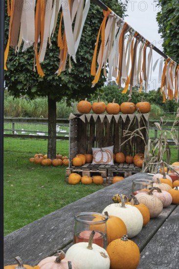 Autumnal decoration with pumpkins, colourful ribbon and candles on a wooden table in a green