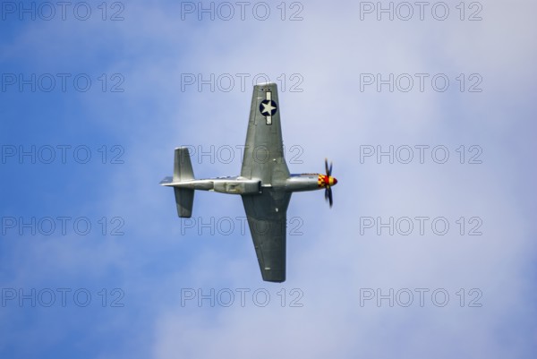 A North American P-51 Mustang of the flying group Flying Bulls, the Nooky Booky IV during an air