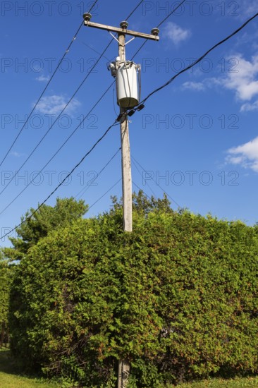 Electricity transformer, high voltage transmission wires, internet, telephone cables attached to