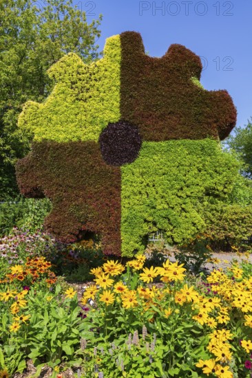 Gear sculpture made of live green, maroon and red Alternanthera plants in mixed border with yellow