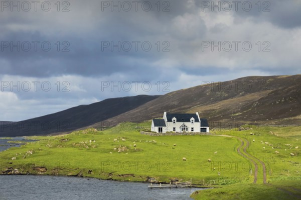 Scenic Scotland Shetland nature scenery in England. Green pastures and picturesque landscapes with