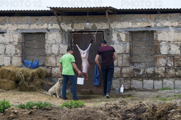 Two men stand in front of an old building while a slaughtered sheep hangs on the wall and a dog