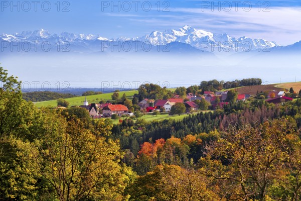 Village of Juriens in the Vaud Jura with view of Mont Blanc, haze over Lake Geneva, autumn-coloured