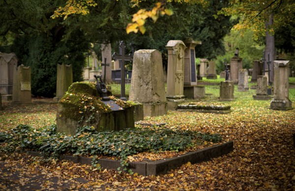 Gravestone, grave of poet and writer Wilhelm Hauff, graves, Hoppenlauf cemetery, oldest preserved