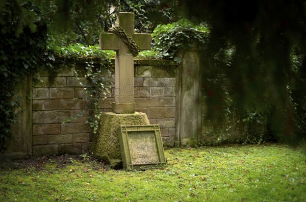 Gravestone, ivy, grave, graves, Hoppenlauf cemetery, oldest preserved cemetery in Stuttgart,