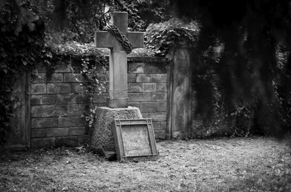 Gravestone, ivy, grave, graves, Hoppenlauf cemetery, oldest preserved cemetery in Stuttgart, black