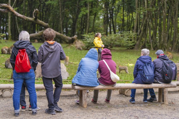 Group of people sitting and standing in a wooded area, surrounded by trees and wearing casual