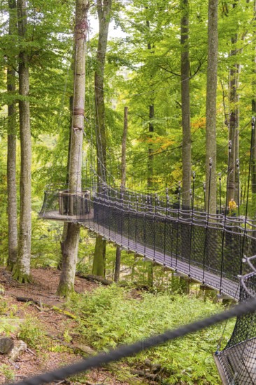 A long suspension bridge between tall trees in the green forest, Affenberg Salem, Lake Constance