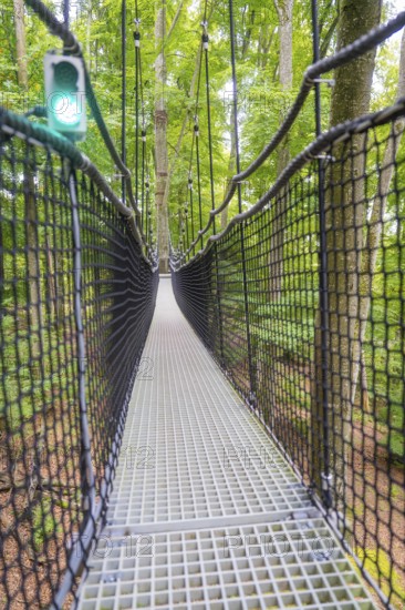 A narrow suspension bridge made of plastic and rope leads through a dense forest, Affenberg Salem,