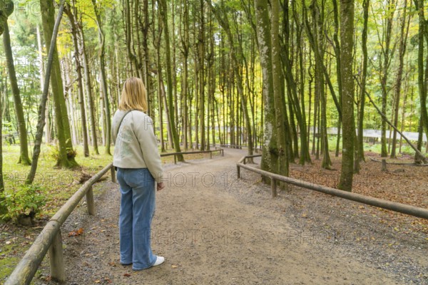 Person standing on a forest path surrounded by tall trees in autumn, Affenberg Salem, Lake