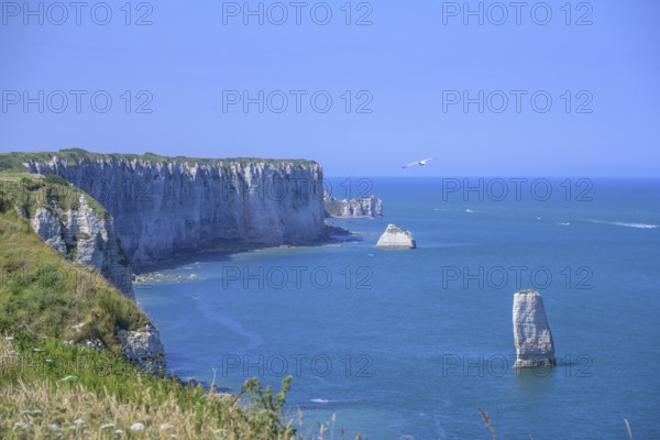 Aiguille de Belval, hike from Yport to Etretat along the chalk cliff coast, Département