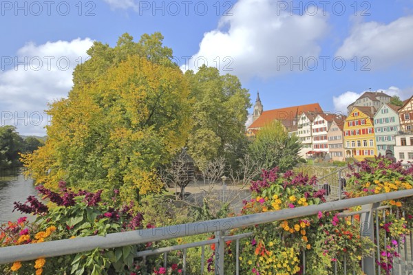 Colourful house front on the Neckar, house facade, Neckar bank, Neckar front, Neckar island, flower