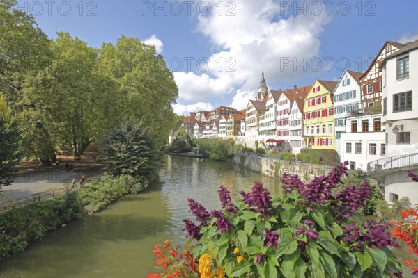 Colourful house front on the Neckar, house facade, Neckar bank, Neckar front, Neckar island with
