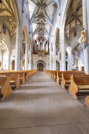 Impressive nave with organ and symmetrically arranged wooden benches under a vaulted ceiling, St