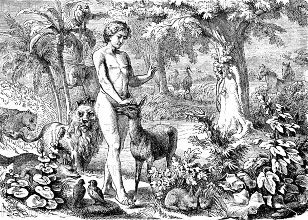 First Book of Genesis, chapter 1, Genesis, creation of man, the plant world, the animals, man gives