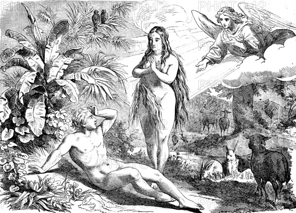 First book of Genesis, chapter 3, Adam and Eve naked in paradise, angels in heaven, animal world,