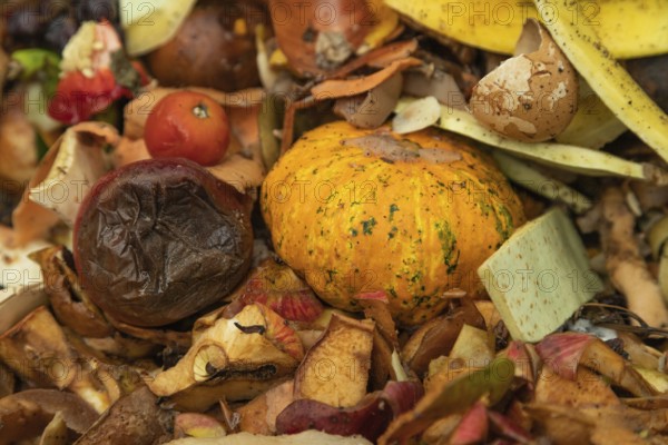 Compost pile made of organic food, leaves, vegetable and fruit Waste mix, Zero waste and Eco