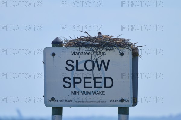 A sign with an osprey nest under a clear sky, calm sea in the background, Merritt Island National