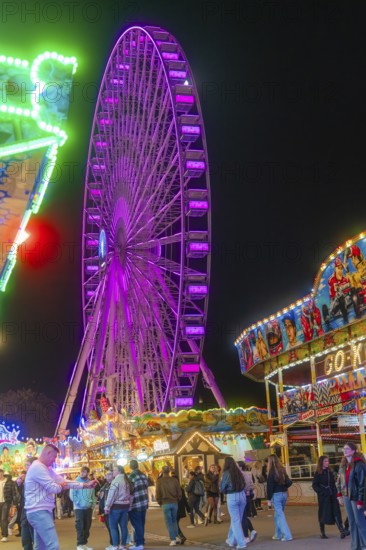 Ferris wheel shining through the night and colourful stalls attract visitors, Cannstatter Wasen