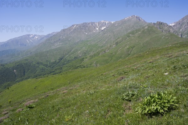 Wide green hills in front of a blue sky and rocky mountains, at the highest pass of Armenia, Meghri