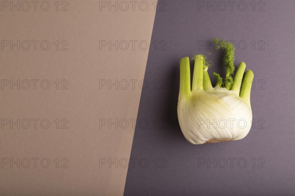 Fresh Fennel bulb on brown and gray pastel paper background, top view, flat lay, copy space,