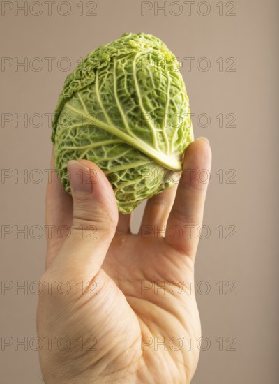 Green lettuce with hand on beige pastel paper background. Side view, copy space, flat lay. healthy