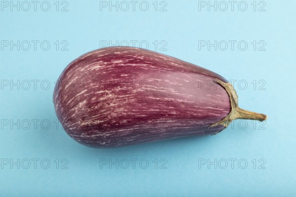 Purple eggplant with white stripes on blue pastel background. Side view, close up. Tropical,