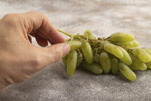 Green grapes on gray concrete background. Side view, close up. healthy food, minimalism