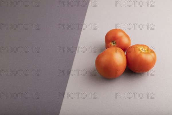 Red tomato on black and gray pastel paper background. Side view, copy space. healthy food,