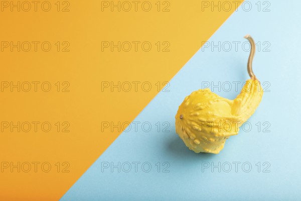 Decorative orange Pumpkin on blue and orange pastel paper background, side view, copy space,