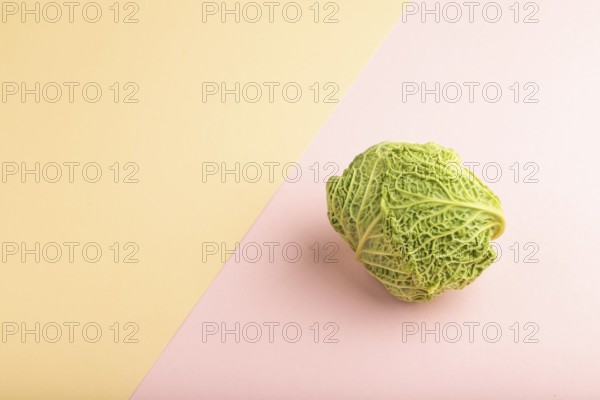 Green lettuce on pink and orange pastel paper background. Side view, copy space. healthy food,