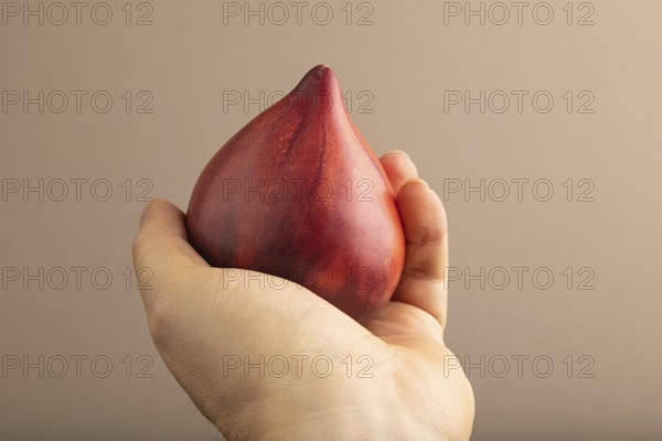 Red Heart shape tomatoes with hand on beige pastel paper background. Side view, copy space. healthy