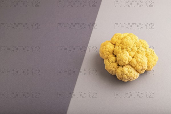Yellow Cauliflower on black and gray pastel paper background. Side view, copy space. healthy food,