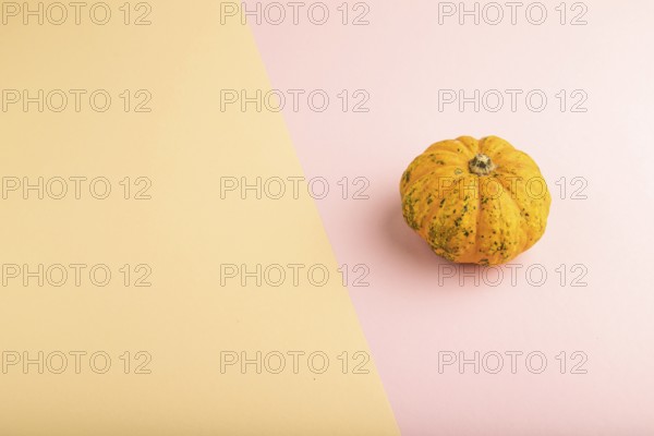 Orange Pumpkin on orange and pink pastel paper background. Side view, copy space. healthy food,