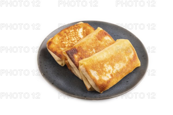 Fried crispy pancakes with meat and cheese isolated on white background. top view, flat lay, copy