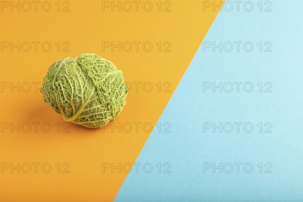 Green lettuce on blue and orange pastel paper background. Side view, copy space. healthy food,