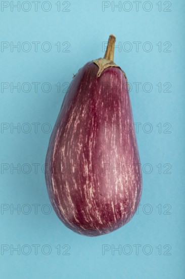 Purple eggplant with white stripes on blue pastel background. Top view, flat lay, copy space.