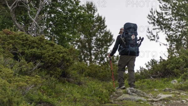 Pilgrims with heavy rucksacks, pilgrimage route Olavsweg or Olavsleden, old Kongevegen or King's