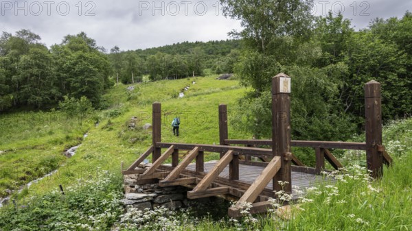 Wooden bridge Leina Bru, Kongevegen or King's Path over Dovrefjell, Hikers in the distance,