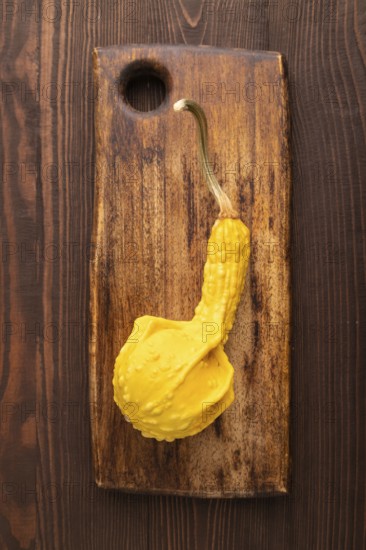 Decorative orange Pumpkin on cutting board on brown wooden background, top view, flat lay, close