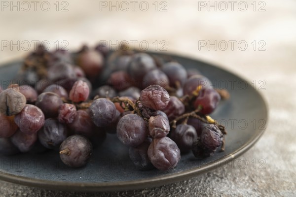 Bunches of rotten and Dry Red wine grapes on blue plate on brown concrete background, harvest,