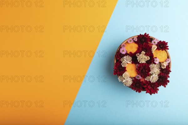 Wooden bowl with carrot slices and red Chrysanthemum flowers, Astrantia flowers, flower salad on