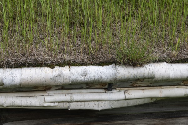 Ein mit Gras bedecktes Dach mit Verkleidung aus Birkenrinde, historischer Bauernhof und